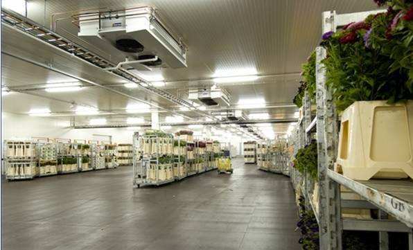 寧波建冷庫(kù)多少錢(qián)一立方？每立方能存多少貨物